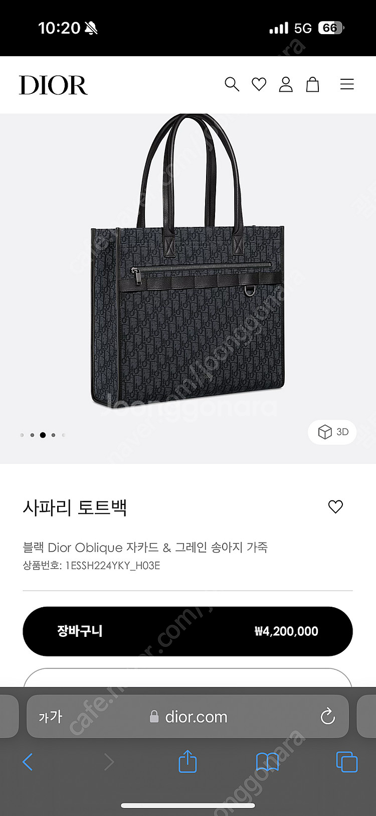 디올 남자 토트백--0
