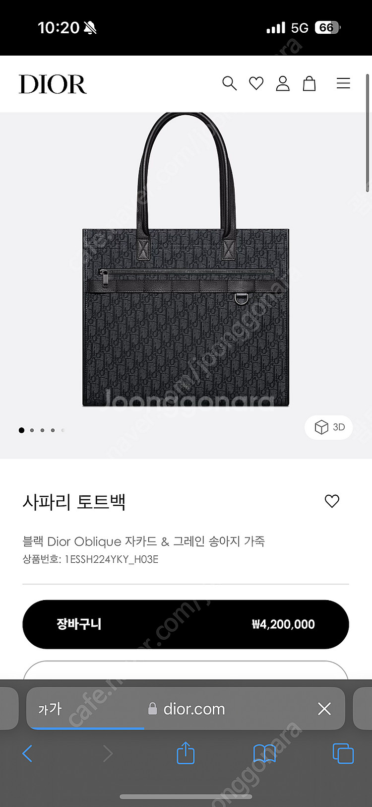 디올 남자 토트백--1
