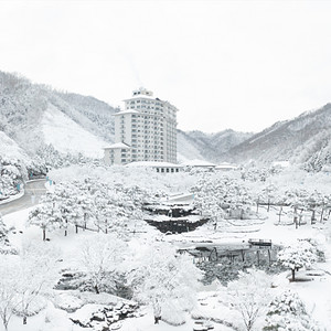 (스키시즌) 하이원 용평 휘닉스 오투 웰리힐리