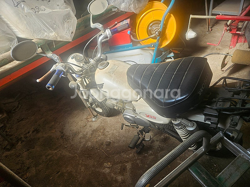 혼다 몽키 50씨씨 키로수 1100키로 230만원 판매...--3