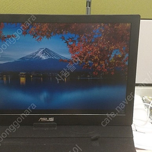 Asus MB169B+ 포터블 모니터