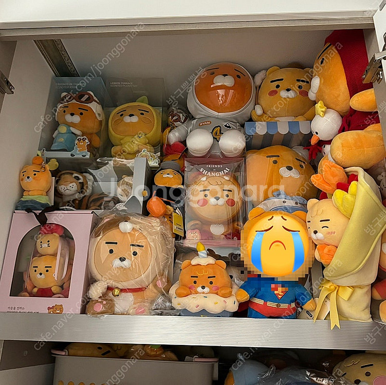 카카오프렌즈 라이언 인형 판매합니다.(엄청 많음️)--1