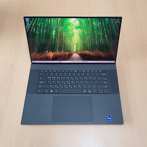 DELL XPS 17 9720 i9/64GB/1TB/RTX3060 4K 터치노트북 판매합니다