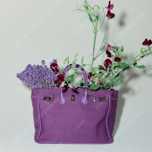 The reum 더름 Jane bag purple 제인백 퍼플 (limited)