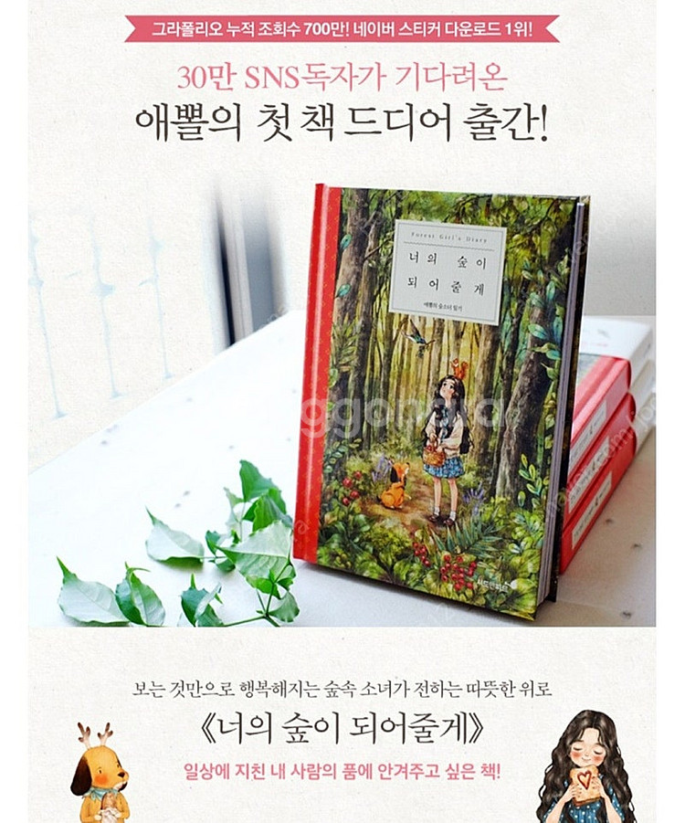 숲을 닮은 너어게/너의 숲이 되어 줄께/나는 행복을 선택 했어요/너의 숲이 되어 줄께 엽서책--1