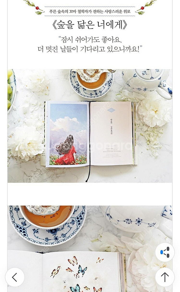 숲을 닮은 너어게/너의 숲이 되어 줄께/나는 행복을 선택 했어요/너의 숲이 되어 줄께 엽서책--5