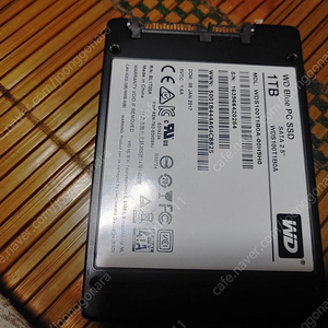 부산 ssd 1테라