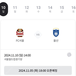 FC서울 vs 울산 서측지정석 예매권