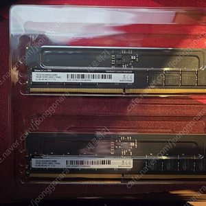 팀그룹 ddr5 4800mhz 16x2 팝니다 (총 32gb)