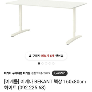 BEKANT책상+ALEX 5단 서랍장