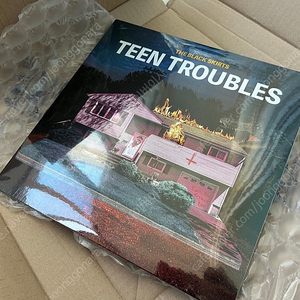 미개봉 검정치마 Teen Troubles LP 팝니다~