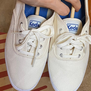 케즈 KEDS 챔피온 캔버스 230