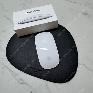 Apple Magic Mouse2 (애플 매직 마우스 2)