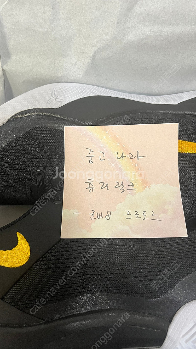 코비8 프로토르--0