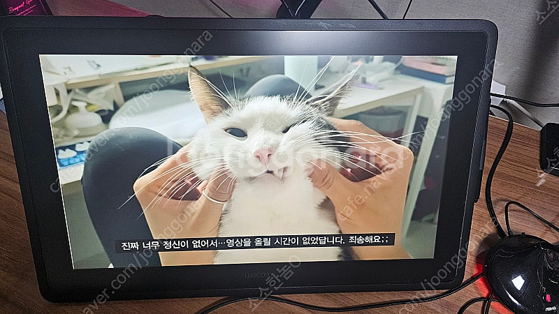 와콤 타블렛 DTK-2260 판매합니다--2