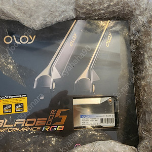 올로와이 ddr5 6000 cl32 16x2
