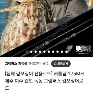 그램퍼스 심해 내만 갑오징어로드 2대