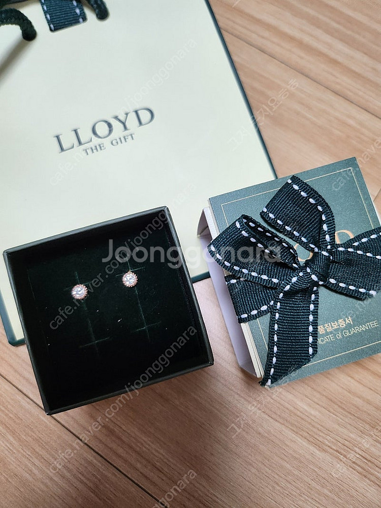 로이드 14K 로렛 라운드스톤 4mm 귀걸이 LPFL1...--0