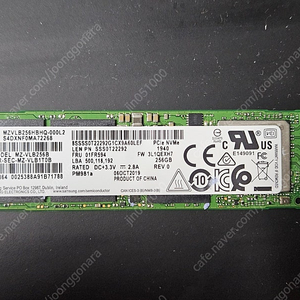 ssd 삼성 pm981a