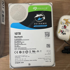 씨게이트 스카이호크 SkyHawk 10TB HDD 판매합니다