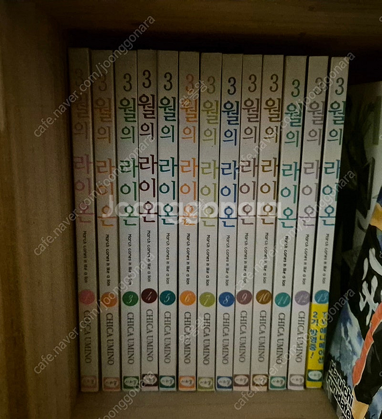 3월의 라이온 만화책--0
