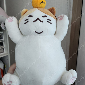 제주냥이 인형 판매합니다