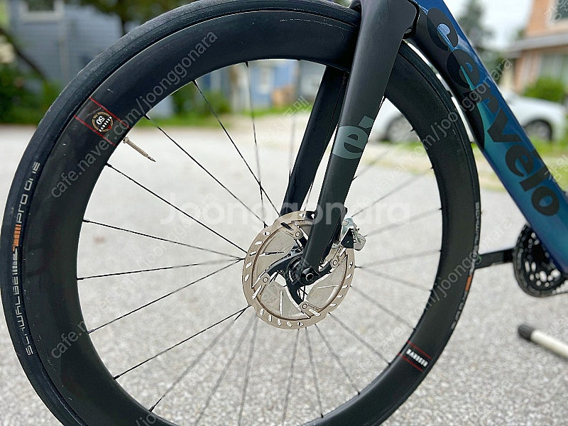 2021 Cervelo 써벨로 S5 카멜레온 / 54사...--2