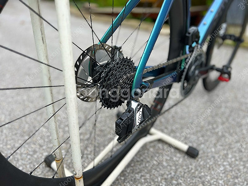 2021 Cervelo 써벨로 S5 카멜레온 / 54사...--9