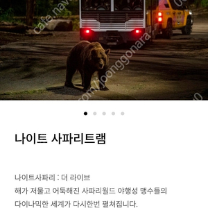 에버랜드 나이트사파리