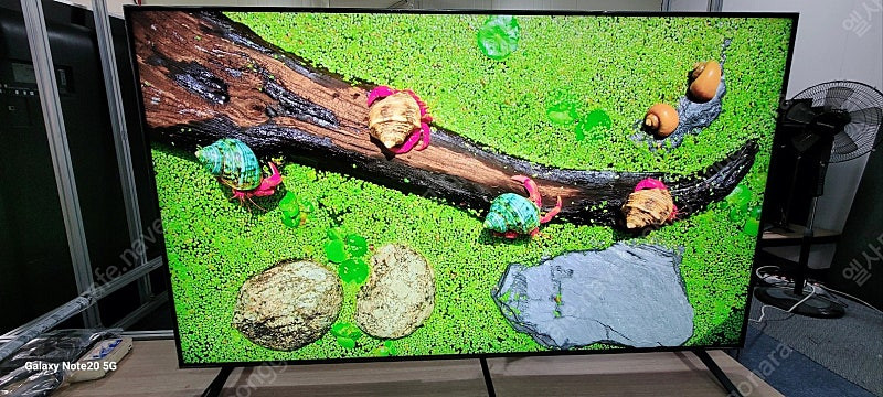 LG75인치 8K UHD스마트 TV-75NANO99--3