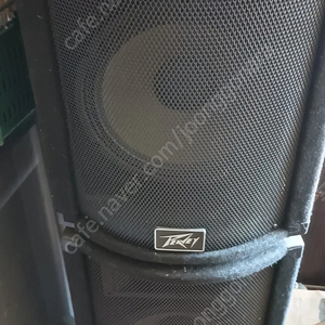 peavey 스피커