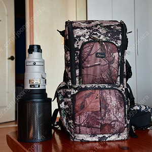 [니콘] AF-S 500mm F4 ED Ⅱ 렌즈 팝니다.