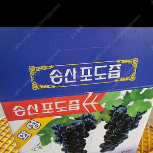 포도즙