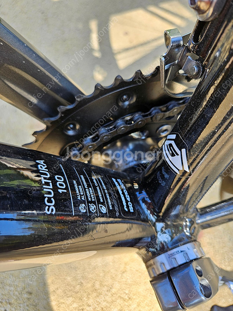 메리다 스컬트라 100 2023년 림브레이크 판매! (S 사이즈)--5