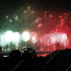 [부산불꽃축제] 11/9일 소노문 해운대 호텔 가실분~