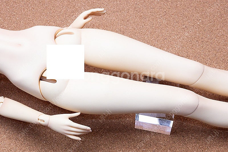 돌모아 구체관절인형 (68cm) 모델돌 하얀초 바디 판...--7