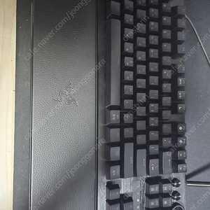 레이저 헌츠맨 V3 PRO TKL 공방 풀윤활