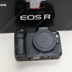 캐논 EOS R , RF 70-200(알형아) , 100-500 (백오백) 100-400 , 35.8 , 24.8