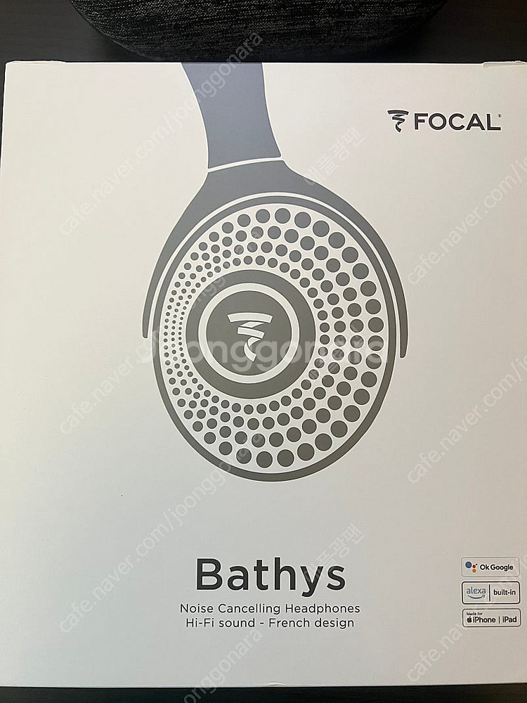 Focal Bathys 베티스--5