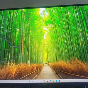 Lg 32GK650F 게이밍 모니터 WQHD 2560×1440 144hz 틸트 피봇 스위블 높낮이 가능 액정 불량