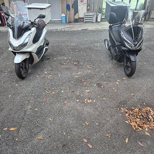 pcx125 21년식(abs), pcx125 19년식 팝니다