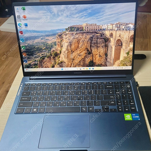 삼성 갤럭시북(NT750XDA-XC58U) 외장그래픽 MX450