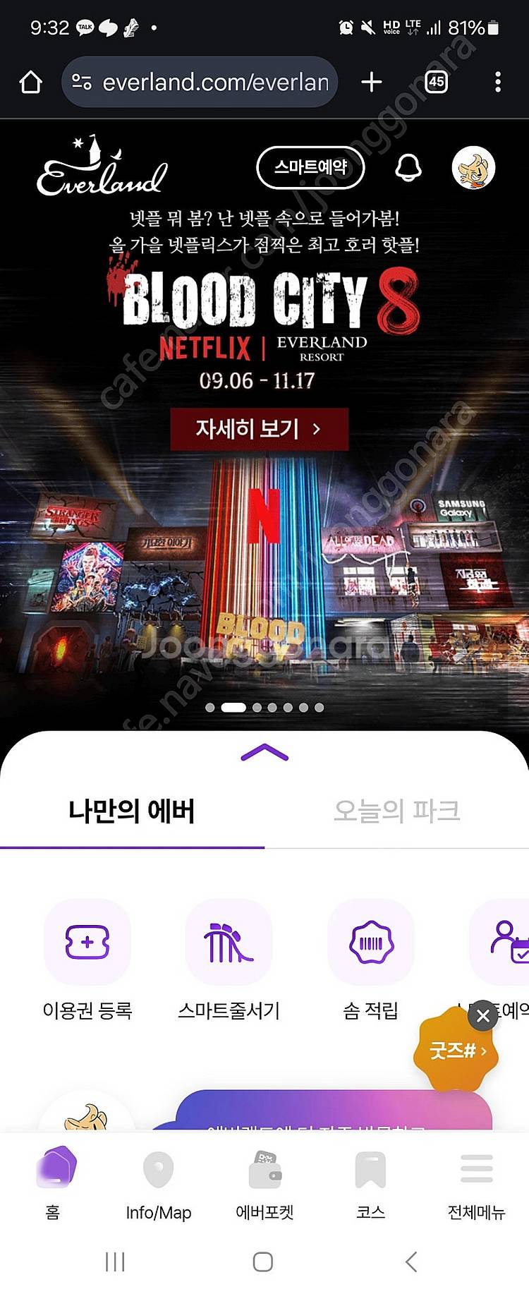 에버랜드 B구간 3인 자유이용권--0