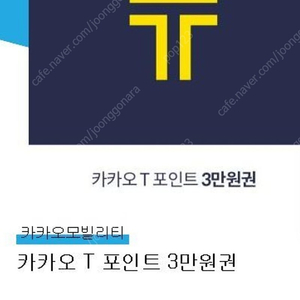 카카오T 카카오택시 3만원 포인트