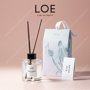 로에 디퓨저 화이트셔츠 120ml 선물세트