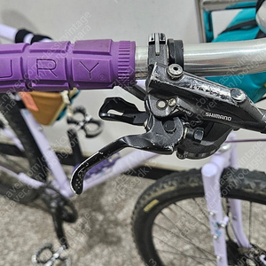 벨로오렌지 폴리발렌트 Gen4 (VeloOrange Polyvalent) 54cm Lilac 판매 및 대차