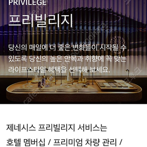 제네시스 프리빌리지(G80)