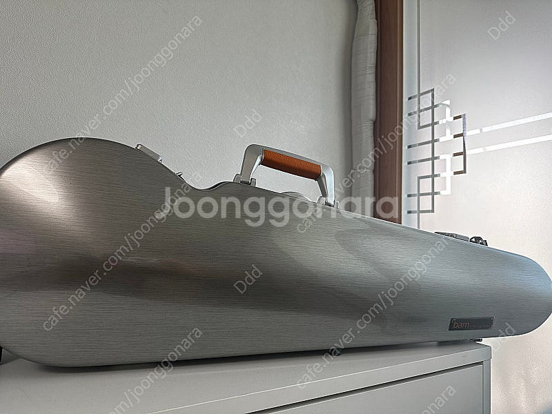 뱀 라데팡스 바이올린 삼각 케이스--2