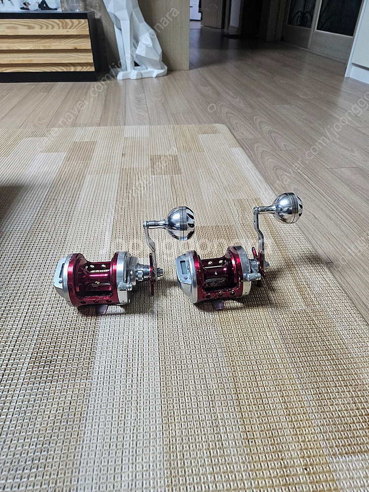 돌돔릴 이시다이z40 2개--0