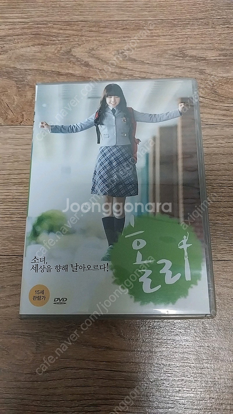 영화 홀리 dvd 걸스데이 민아 주연--0